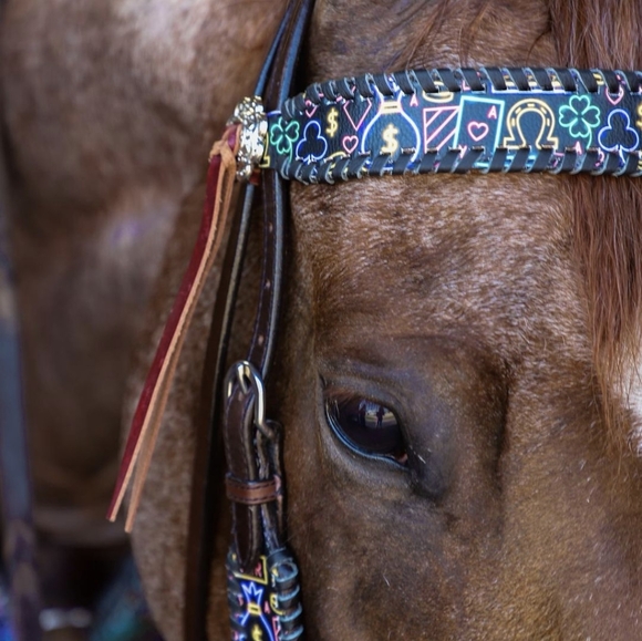 RANCH DRESS'N Fallon Taylor Performance  Rodeo Cowgirl shirt XXXL 3X NWOT - Picture 5 of 10